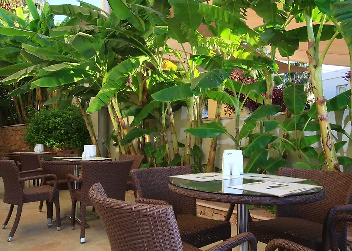 Mandarin & Semesteranläggning (resort) 5*