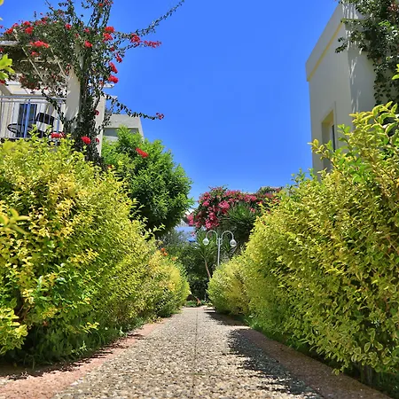 度假村 东方spa度假村