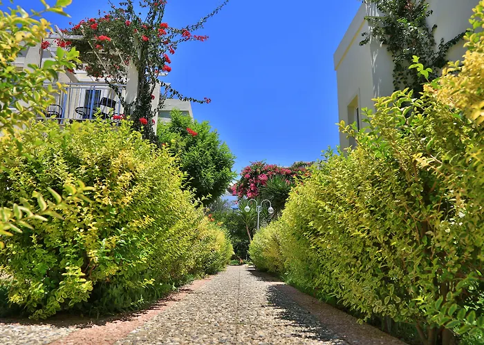 אתר נופש Mandarin &