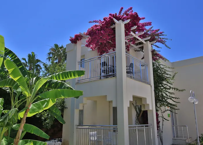 Mandarin & 5* Bodrum