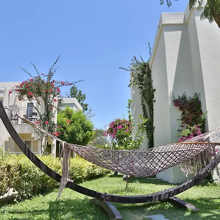 Mandarin & ボドルム