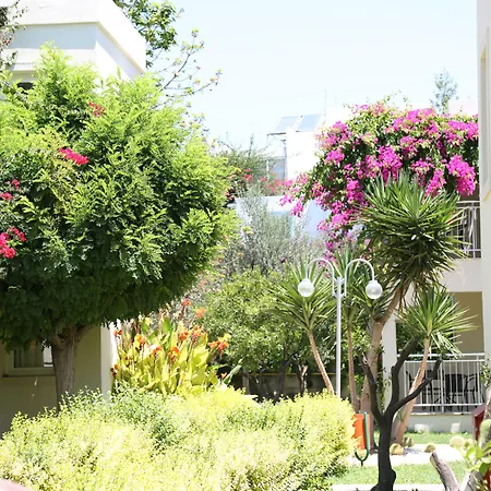 リゾート Mandarin & 5*