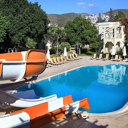 Mandarin & Bodrum