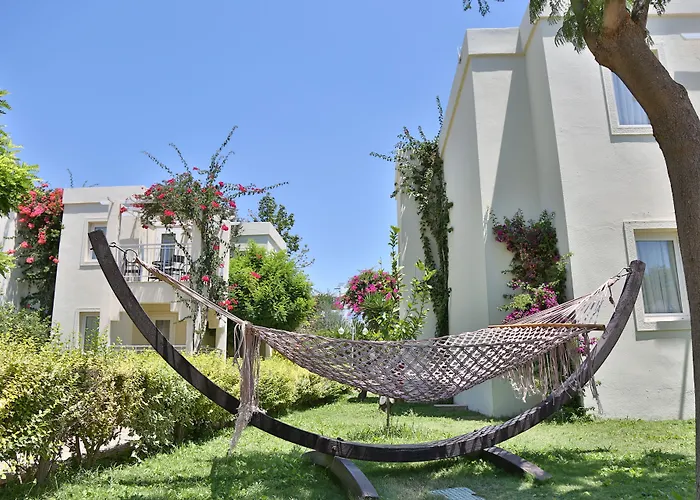 Mandarin & Bodrum