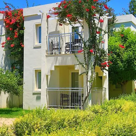 Mandarin & ボドルム